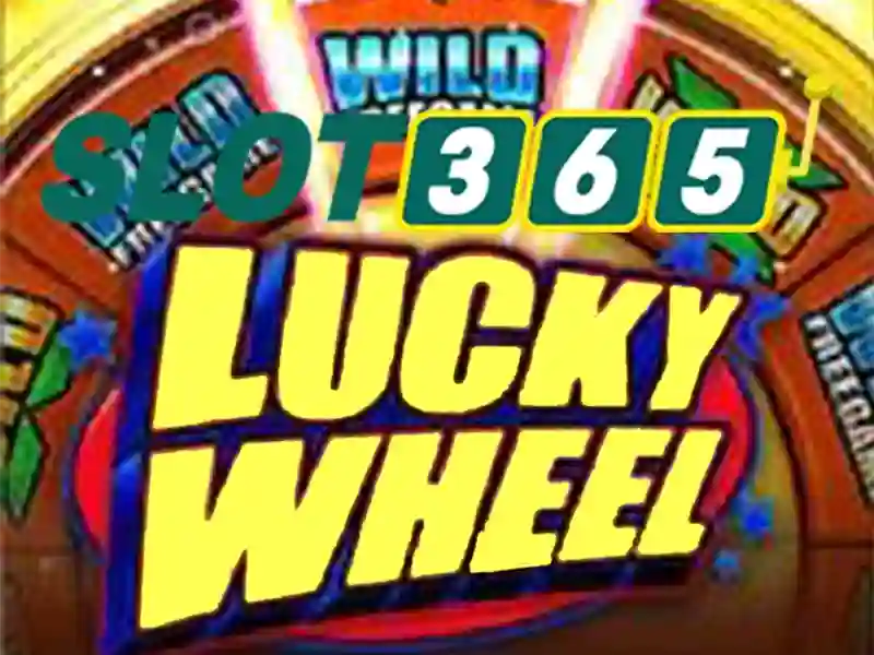 Trải nghiệm người dùng và Phản hồi cộng đồng