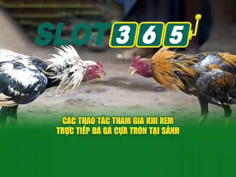 Nguồn gốc từ khóa và sứ mệnh của slot365 games