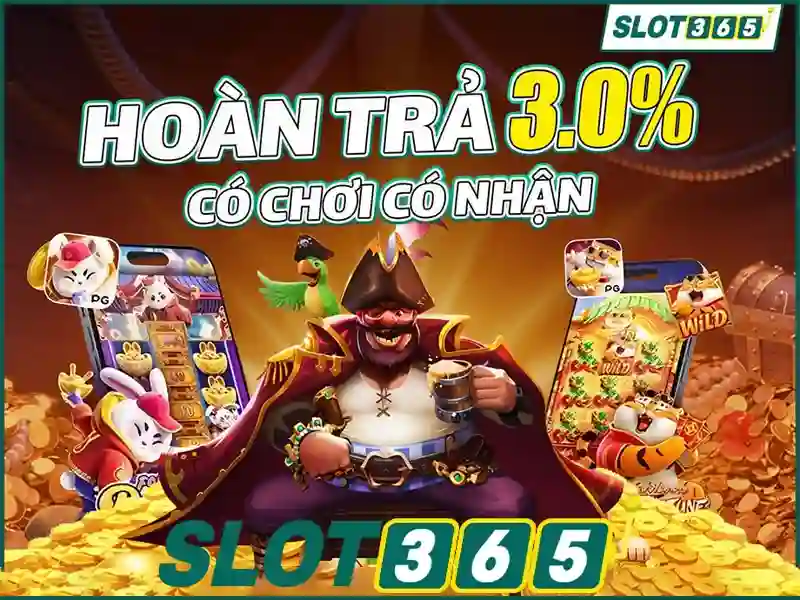 Tong quan ve dieu khoan su dung tai nha cai Slot365