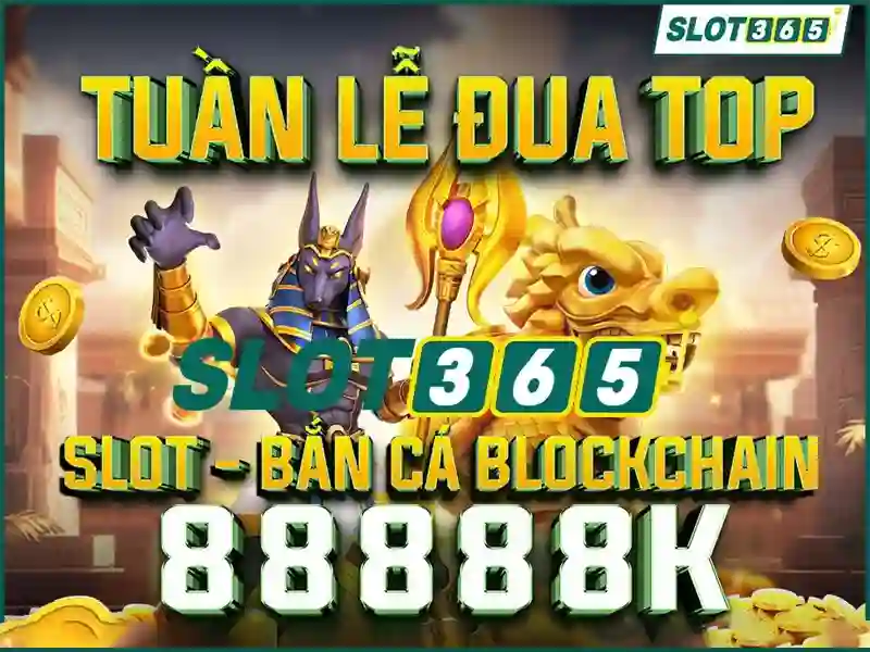 live slot365 – Phát triển tương lai và trách nhiệm