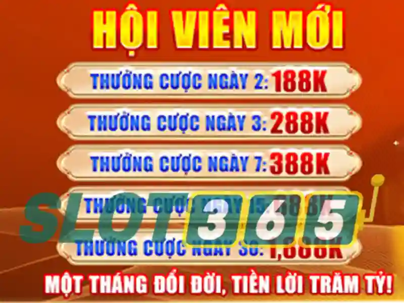 live slot365 – Giới thiệu tổng quan và cơ hội