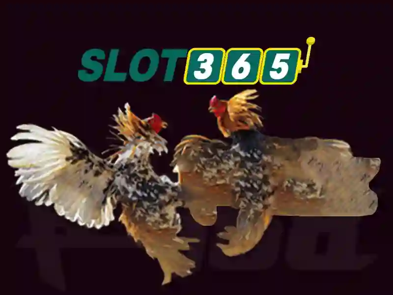 Tải app slot365 – Tổng quan và giá trị