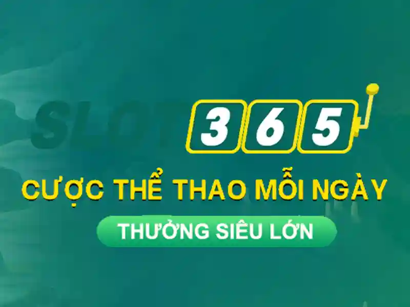 Trải nghiệm người dùng và phản hồi cộng đồng