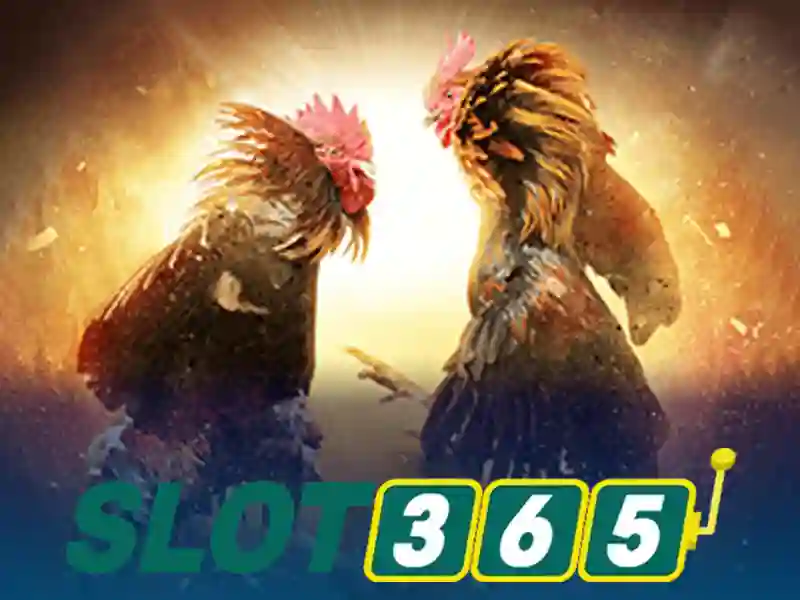 Ưu thế và năng lực cạnh tranh của slot365