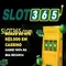 slot365 xx vip - Trải nghiệm đỉnh cao và uy tín